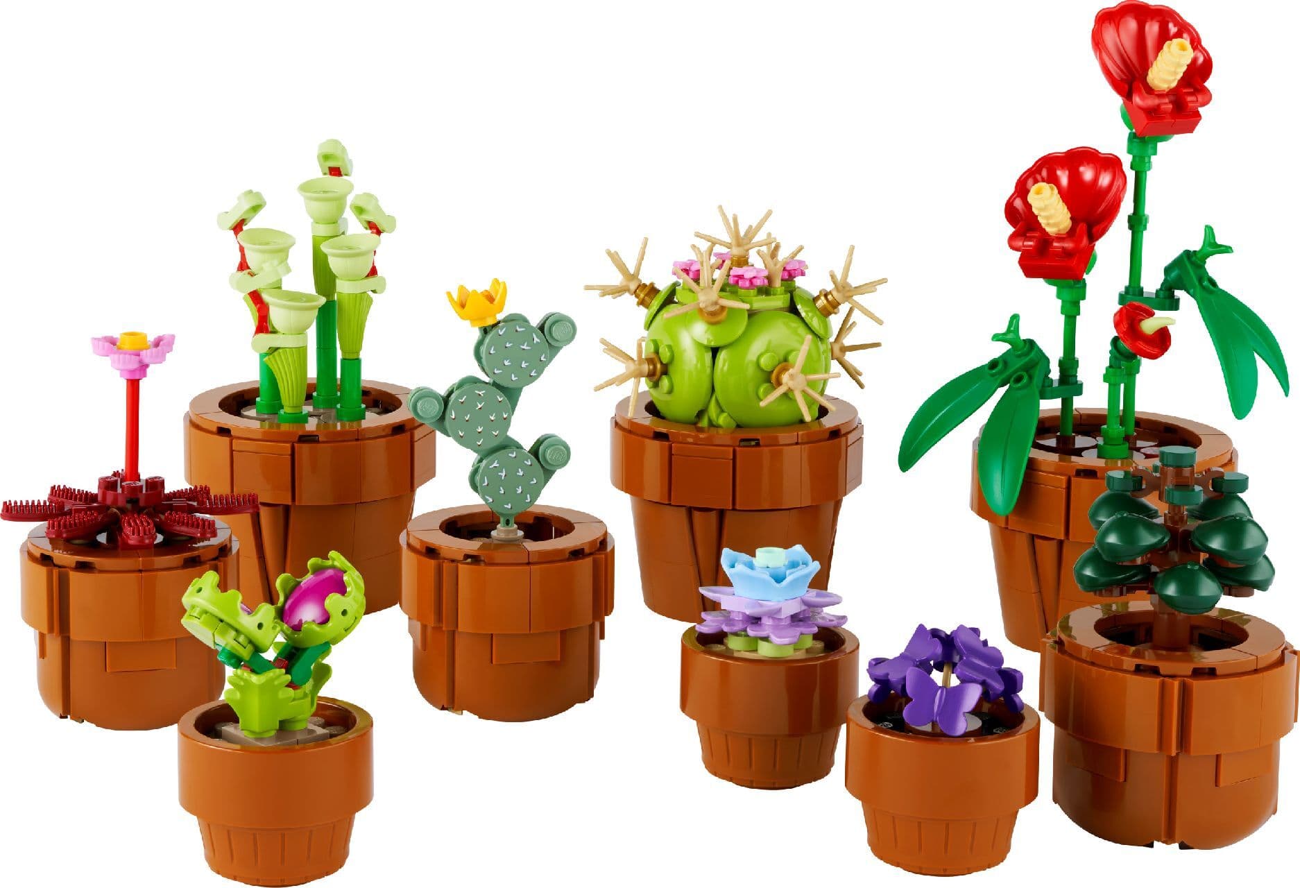 LEGO LEGO Botanicals Tiny Plants - Jeux de construction image 2
