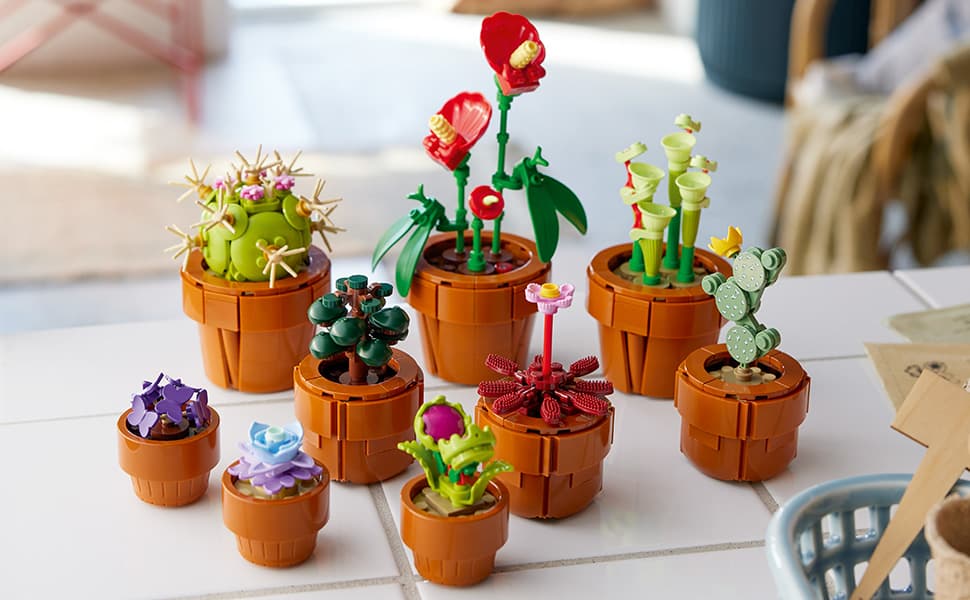 LEGO LEGO Botanicals Tiny Plants - Jeux de construction image 3